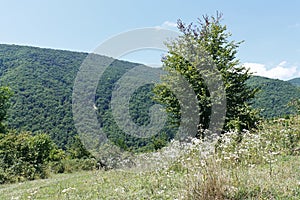 Beautiful landscape with slopes, meadows and forests in foothills of Western Caucasus