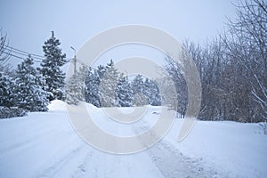 a beautiful landscape, snowy road in the forest between the trees, winter sseason