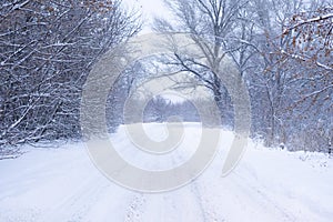 a beautiful landscape, snowy road in the forest between the trees, winter sseason