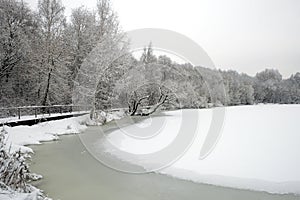 Beautiful landscape with snowy trees at the edge of frozen lake at gloomy winter day