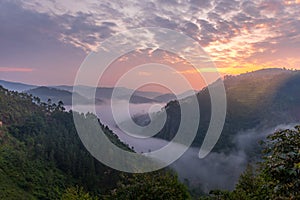 Beautiful landscape in southwestern Uganda, at the Bwindi Impenetrable Forest National Park, at the borders of Uganda, Congo and R