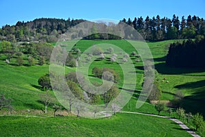 Beautiful landscape in spring in the Odenwald, Germany