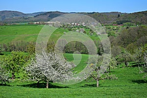 Beautiful landscape in spring in the Odenwald, Germany