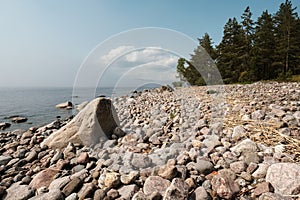 Beautiful landscape. Stony coast and clear sea, against the background of blue sky, clouds and pines, on a summer day.