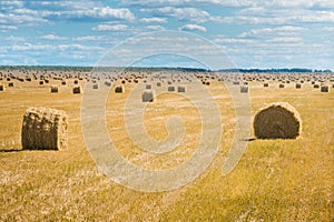 Hermoso paja paquetes en el fin de verano. mucho de pacas de heno 