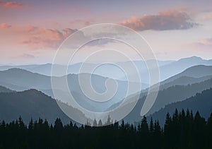 Beautiful landscape of summer mountains at sunrise. Misty slopes of the mountains in the distance.