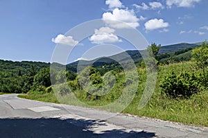 Beautiful landscape of summer nature with green meadow and forest in Plana Planina