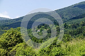 Beautiful landscape of summer nature with green meadow and forest in Plana Planina