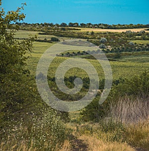 beautiful Landscape in summer with trees and meadows countryside evening light rural scenery nature, Path country Moldova hill