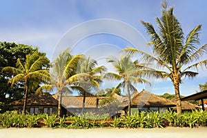 Beautiful landscape Summer tropical scenery of palm trees and beach resort under a blue sky in Bali island of Indonesia in Asia v