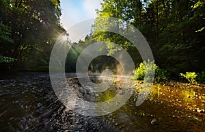 Beautiful landscape with summertime forest and river