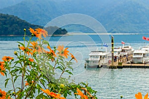 Beautiful Landscape of Sun Moon Lake in the morning with mountain background and yellow flower foreground at Nantou, Taiwan