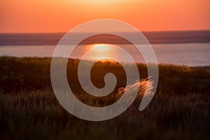 Beautiful landscape with sunset over saline lake Baskunchak and feather grass
