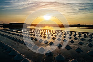 Beautiful landscape at sunset salt Farming. sea-salt production in the country,