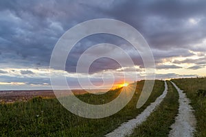 Beautiful landscape at sunset or sunrise, narrow ground road stretching through green grassy blooming meadow to distant horizon l