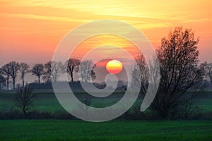 Beautiful landscape, sunset, tree and field, Poland