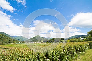 Beautiful landscape of Takayama mura at sunny summer or spring day and blue sky in Kamitakai District in northeast Nagano