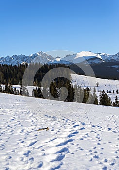 Beautiful landscape in Tatra mountains