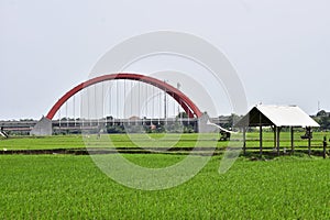 Beautiful landscape of terraced rice fields in Central Java indonesia