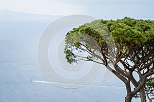 A beautiful Landscape to the Tyrrhenian Sea seen from the Garden of Villa Rufolo, historic center of Ravello, Amalfi Coast of Ital