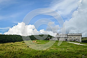 Beautiful Landscape with Trees, Hut,  Cows and Tractor with a Blue Sky and Clouds Seen on the Mountains from Passo Fittanze