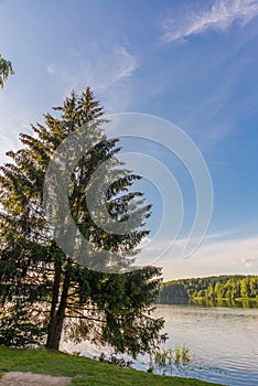 Beautiful landscape with trees And the river in a summer village