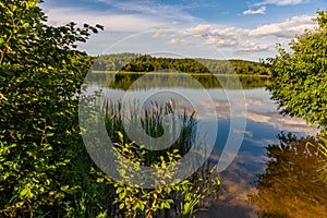 Beautiful landscape with trees And the river in a summer village