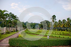 Beautiful landscape of tropical plants of the Andaman Sea to Port Blair India