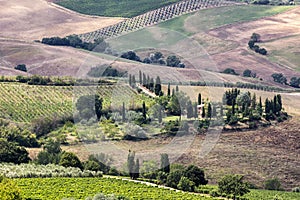 Beautiful landscape in Tuscany