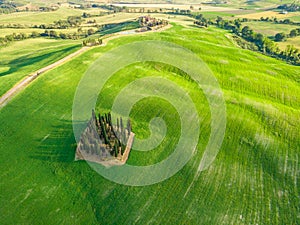 Beautiful landscape of Tuscany in Italy - Group of italian cypresses near San Quirico dÂ´Orcia - aerial view - Val dâ€™Orcia,