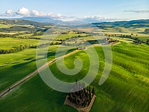 Beautiful landscape of Tuscany in Italy - Group of italian cypresses near San Quirico dÂ´Orcia - aerial view - Val dâ€™Orcia,