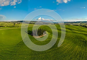 Beautiful landscape of Tuscany in Italy - Group of italian cypresses near San Quirico dÂ´Orcia - aerial view - Val dâ€™Orcia,