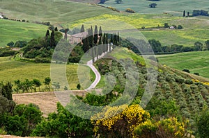 Beautiful landscape of Tuscany in Italy, Podere Belvedere in Val d Orcia near Pienza with cypress,