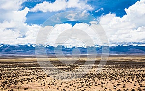 landscape between Uyuni and La Paz, Bolivia. Desert landscape of Bolivia photo