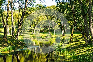 Beautiful Landscape of Uzutrakis Manor Gardens. Manor Park Reservoir