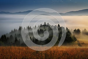 Beautiful landscape with valleys, sun and fog in Pieniny mountains