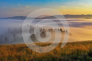 Beautiful landscape with valleys, sun and fog in Pieniny mountains