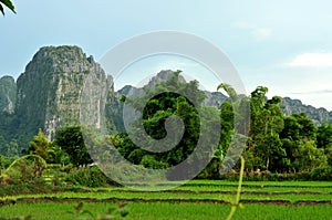 Beautiful landscape of vang vieng,laos photo