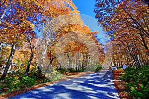 Colorful autumn forest in hot spring resorts of Nyuto Onsenkyo