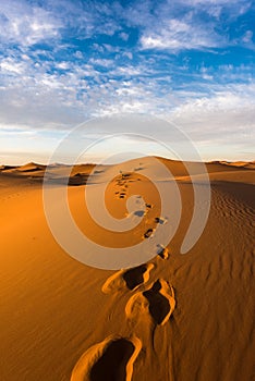 Beautiful landscape view of the Erg Chebbi dunes, Sahara Desert, Merzouga, Morocco in Africa