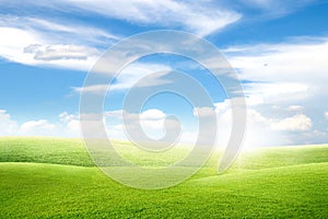 Beautiful landscape view of Green grass natural meadow field and little hill with white clouds and blue sky.