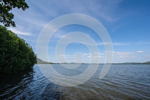 Beautiful landscape view at Kung krabaen Mangrove forest