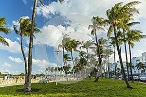 Beautiful landscape view of Miami South Beach. Buildings on one side and palm trees on another side.