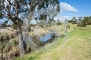 Beautiful landscape view and open space around a waterway in the nature grassland reserve in an Australian neighbourhood.