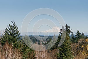 Beautiful landscape with a view of the Rainier volcano from Olympia