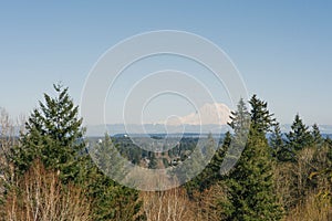 Beautiful landscape with a view of the Rainier volcano from Olympia