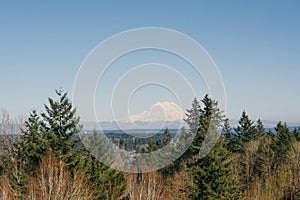 Beautiful landscape with a view of the Rainier volcano from Olympia