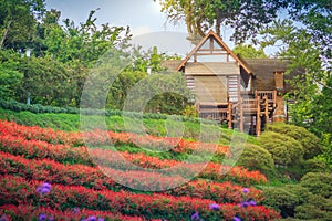 Beautiful landscape view of red flower garden and the small cottage in the forest at Bhubing palace, Chiang Mai, Thailand. photo