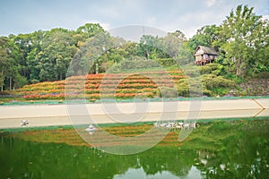 Beautiful landscape view of red flower garden and the small cottage in the forest at Bhubing palace, Chiang Mai, Thailand.