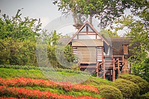 Beautiful landscape view of red flower garden and the small cottage in the forest at Bhubing palace, Chiang Mai, Thailand.